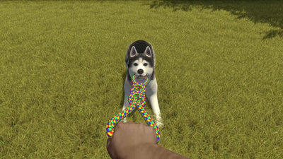 House Flipper - Pets Edition (Switch)